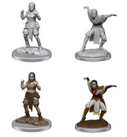 Pathfinder Battles  Half Elf Monk Female 