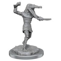 Dungeons And Dragons Mummies