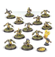 Blood Bowl Goblin Blod Bowl Team The Scarcrag Snivellers