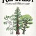 Firestarter Games  Reforest 